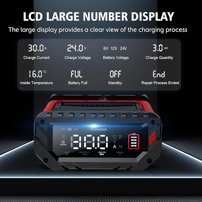 30 Amp Lithium Battery Charger, 6V/12V/24V Lifepo4, Lead-Acid Portable Car - Image 5