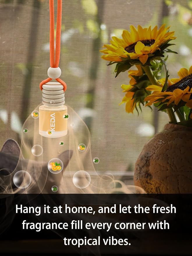 IKEDA Car Air Freshener, Car Fresheners - Image 5