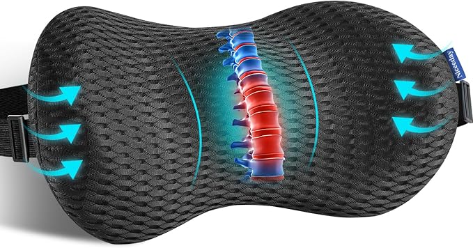 Lumbar Support Pillow for Office Chair Car Back Support Pillow, Memory Foam by NICEEDAYBRAND