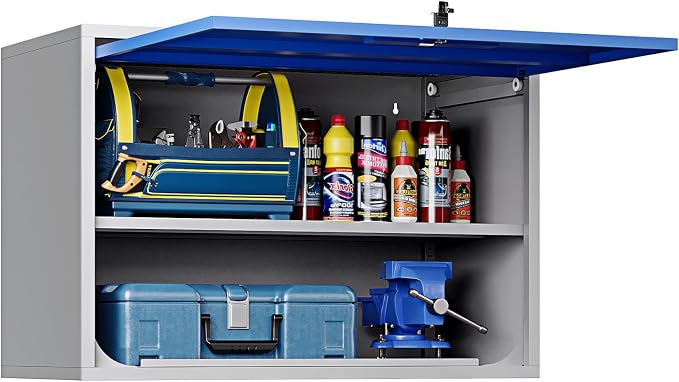 Metal Wall-Mounted Storage Cabinet Tool Chest by STANI