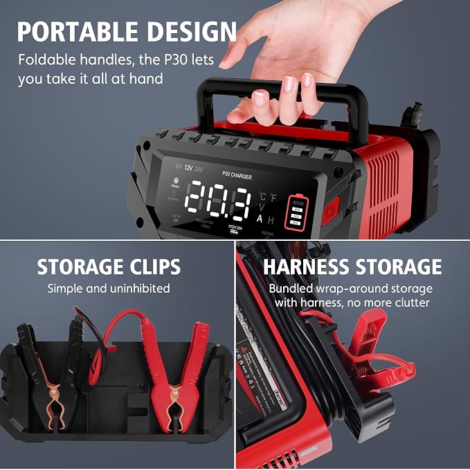 30 Amp Lithium Battery Charger, 6V/12V/24V Lifepo4, Lead-Acid Portable Car - Image 4