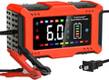 LiFePO4/Lead Acid Battery Charger Smart Battery Trickle Charger 12V 6A by FASTAGEI