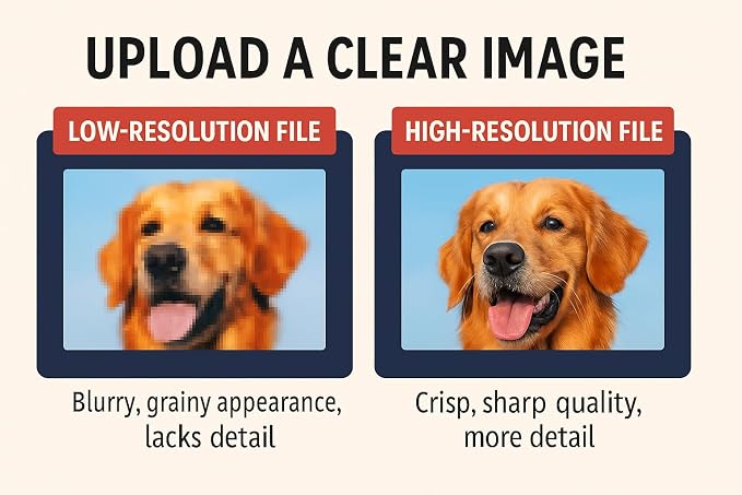 Custom Car Magnets with Rounded Corners Personalize Your Message Full Color - Image 2