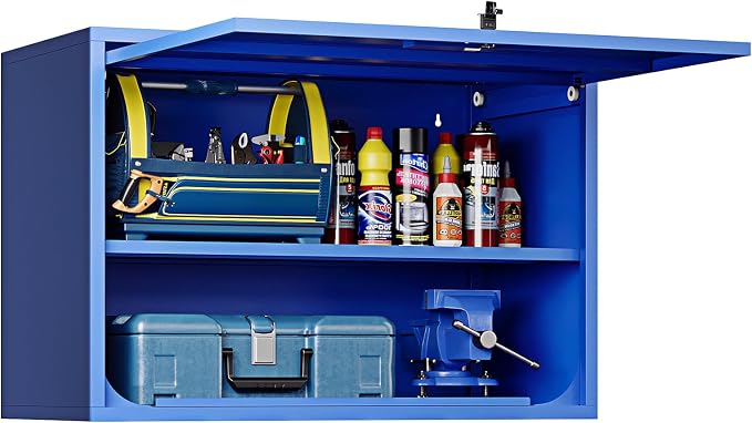 Metal Wall Storage Cabinet 22'' Tall Wall-Mounted Steel Garage Cabinet by STANI