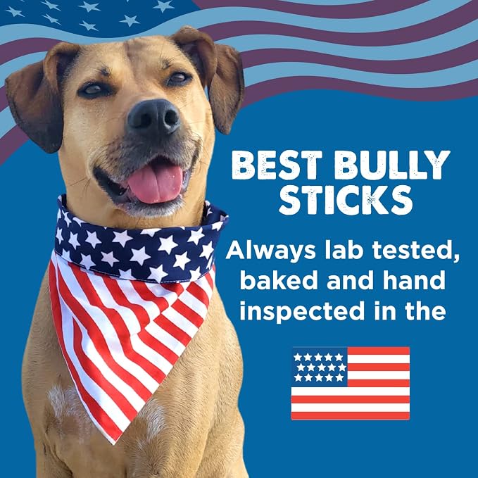 Best Bully Sticks 6 Inch Bully Sticks - Image 9