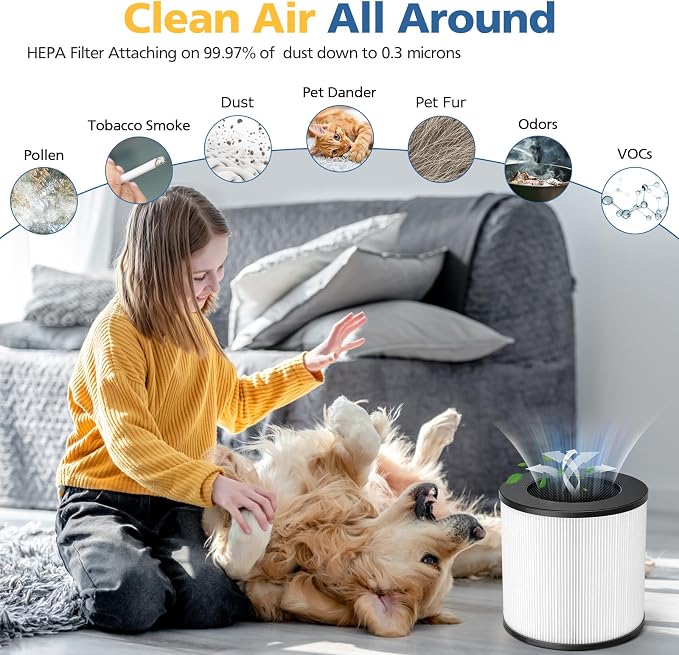 Model 14 Replacement Filter for MA Series 14/14W/14B Air Purifier, 3-in-1 HEPA - Image 4