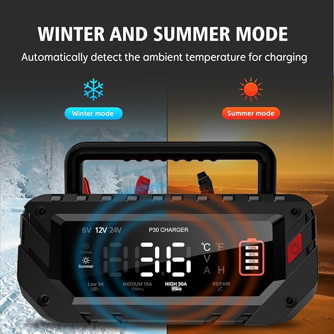 30 Amp Lithium Battery Charger, 6V10A/12V30A/24V16A Lifepo4, Lead-Acid Smart - Image 7