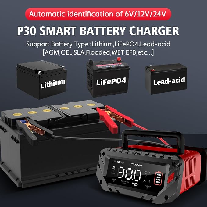30 Amp 6V/12V/24V Smart Trickle Charger, Car Battery Charger, Lead Acid Battery - Image 3