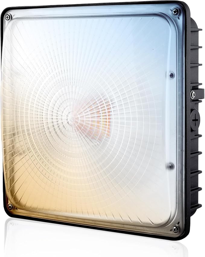 LED Canopy Light 100W, 40/60/80/100W Selectable, 5000K 15000Lumens Commercial by Goldinfu