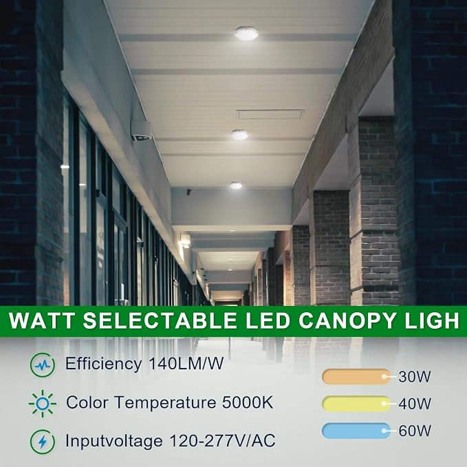 OSTEK LED Garage Light 30W/40W/60W LED Carport Canopy Lights 5000K 90-277V IP65 - Image 2
