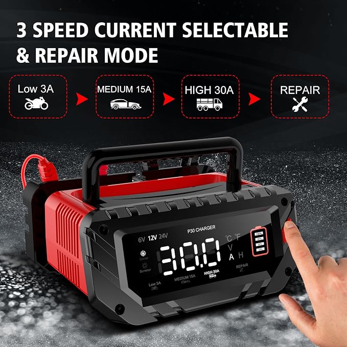 30 Amp 6V/12V/24V Smart Trickle Charger, Car Battery Charger, Lead Acid Battery - Image 4