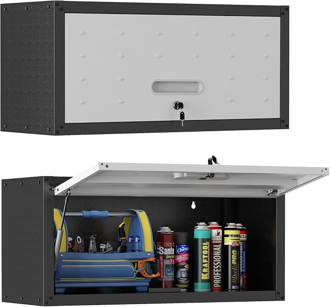 Garage Wall Cabinet, Metal Wall Cabinet by VIYET