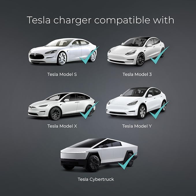 Lectron Level 1 Tesla EV Charger - 120V - Image 3