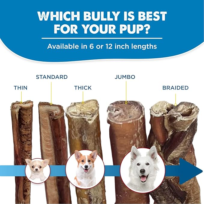 Best Bully Sticks 6 Inch Bully Sticks - Image 6