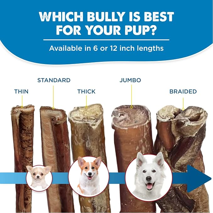 Best Bully Sticks 12 Inch Bully Sticks - Image 5
