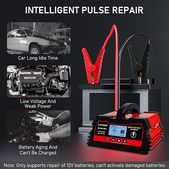 LVYUAN 25Amp Smart Car Battery Charger, 12V/24V Automotive Charger, Lead-Acid - Image 7