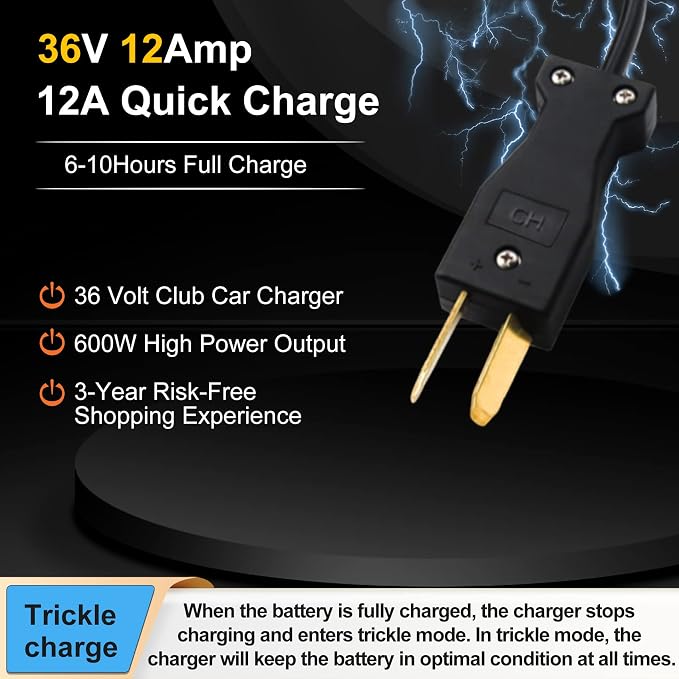 12 Amp 36 Volt Golf Cart Battery Charger - Image 4