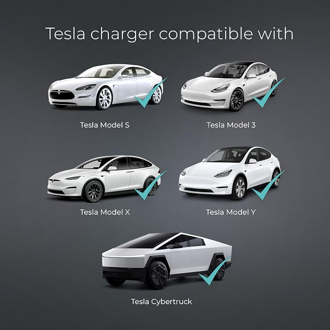 Lectron Level 2 Tesla Charger - 240V - Image 3