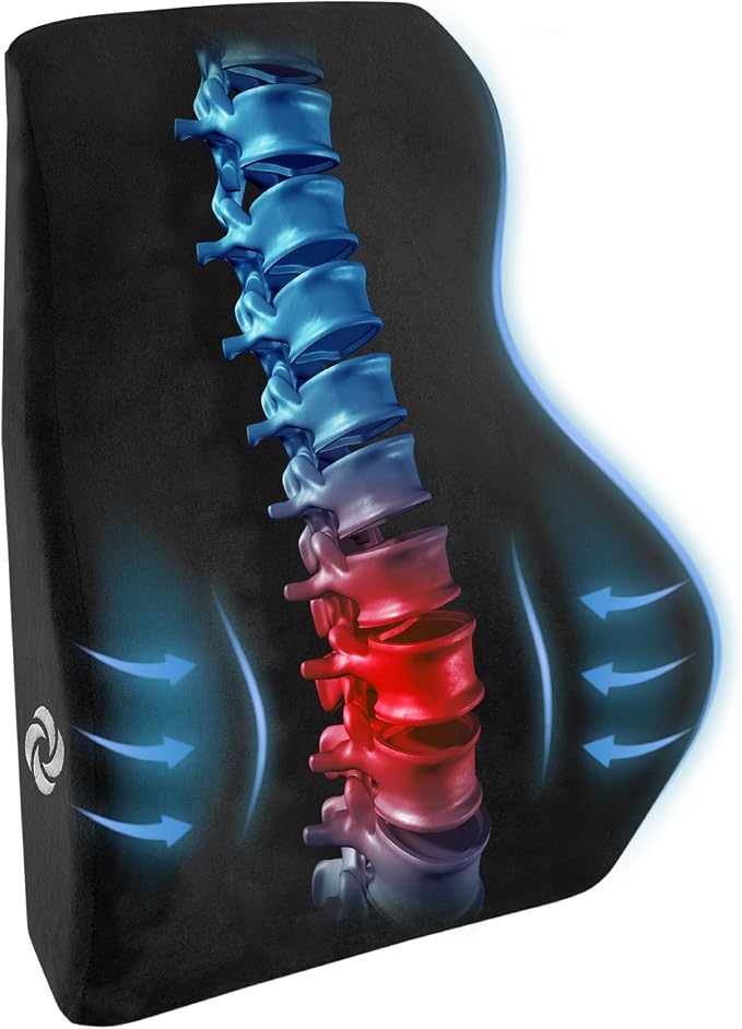 Samsonite Lumbar Support Pillow Mid and Lower Back– Office Chair Back Cushion by Samsonite