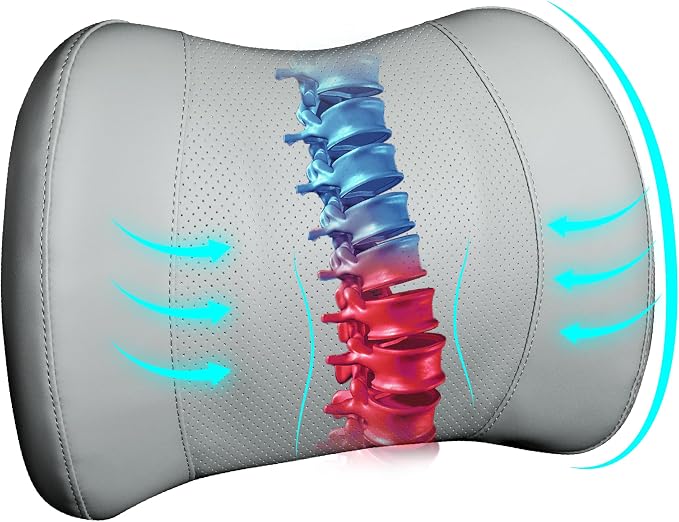 Classic Memory Foam Lumbar Cushion Provides Excellent Back Support and Pain by LoftyAim