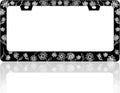 Black and White Daisies License Plate Frame Flower Art License Plate Holder by TINALUIN
