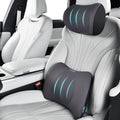 FLORICH Lumbar Support with Car headrest Back Pillow by FLORICH