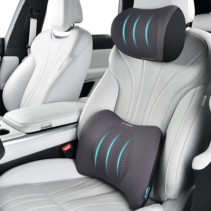 FLORICH Lumbar Support with Car headrest Back Pillow by FLORICH