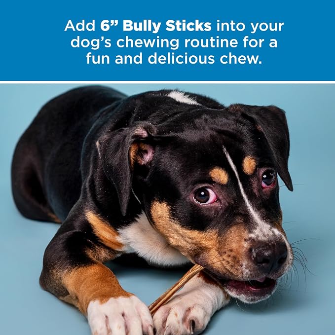 Best Bully Sticks 6 Inch Bully Sticks - Image 6