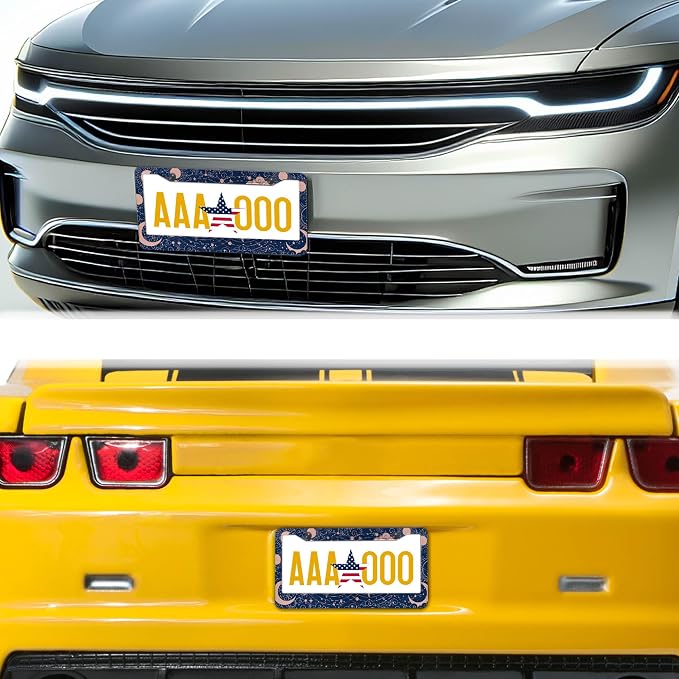 License Plate Frames for Women Blue License Plate Holder for Men Moon Sun - Image 8