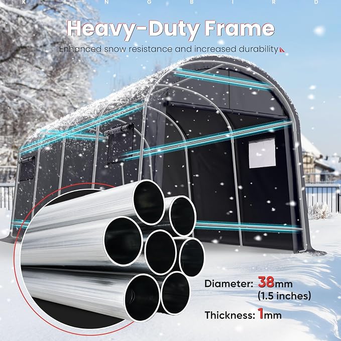 KING BIRD 10' x 20' Heavy Duty Carport - Image 2
