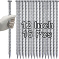VVOKGO 12 Inch Rebar Stakes Metal Asphalt Anchoring Spikes Ground, 1/2 Inch by VVOKGO