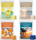 Scentsationals Wax Melts Staycation 4-Pack – Long Lasting Wax Cubes by Scentsationals