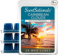 Scentsationals Wax Melts, Wax Cubes Strong Scent by Scentsationals
