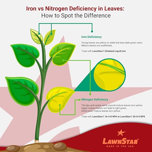 LawnStar Liquid Iron for Plants - Image 7