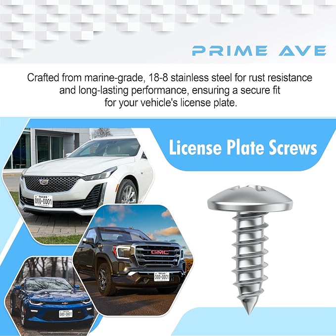 Stainless Steel License Plate Screws - Image 5