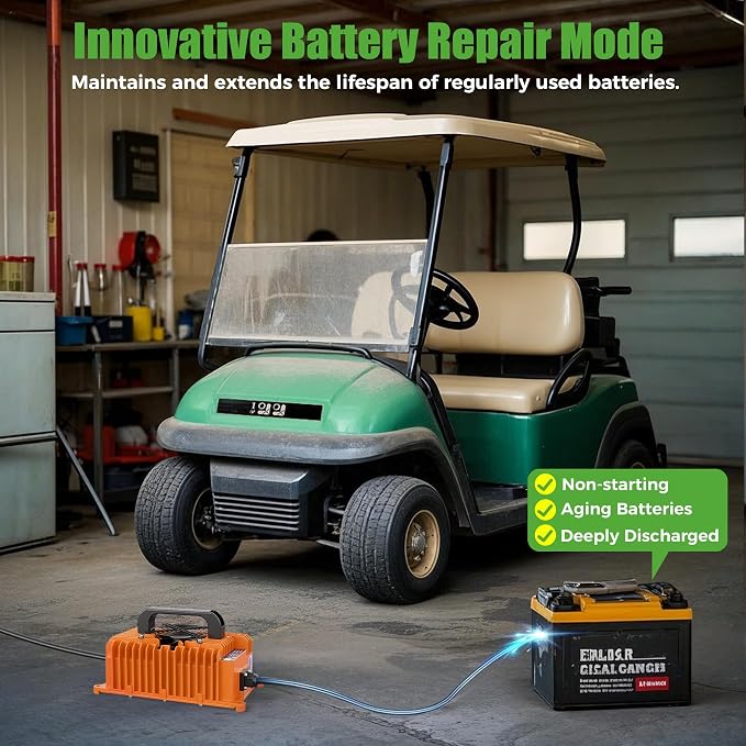 10L0L 15 Amp 48 Volt Golf Cart Charger - Image 3