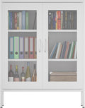 Metal Storage Cabinet with Mesh Doors, Steel Display Cabinet with Adjustable by Washsemba