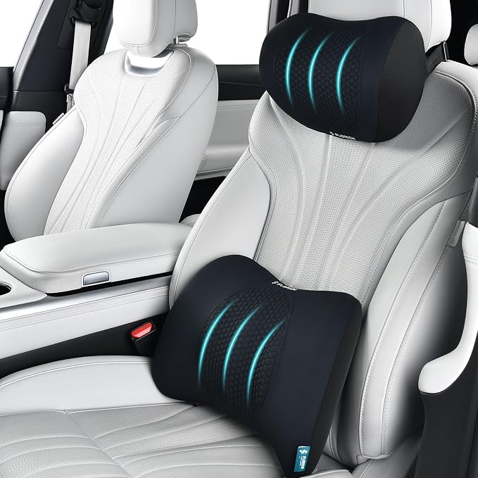 FLORICH Lumbar Support with Car headrest Back Pillow by FLORICH