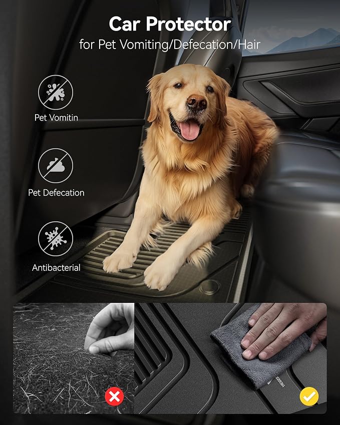 3W Floor Mats & Cargo Liner Fit - Image 7