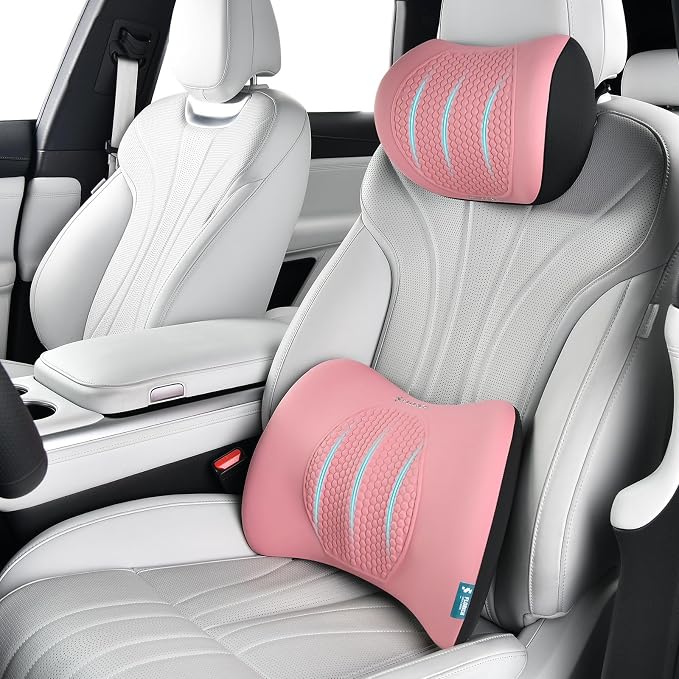 FLORICH Lumbar Support with Car headrest Back Pillow by FLORICH