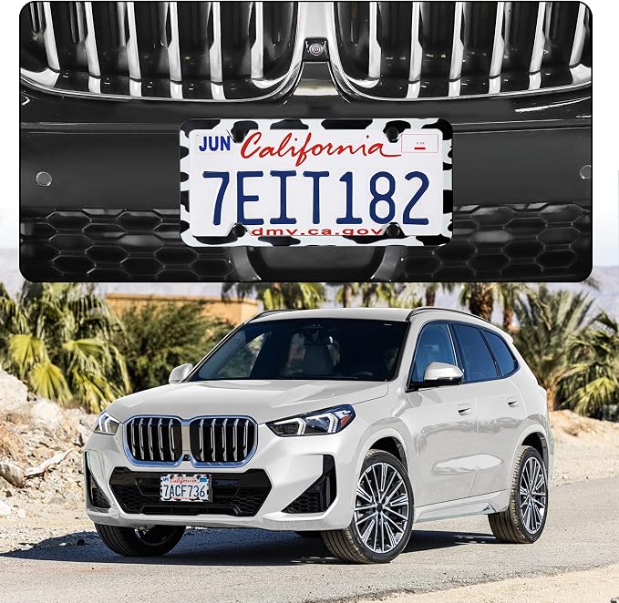 LivTee 4 Holes Stainless Steel License Plate Frames, Automotive Exterior - Image 2