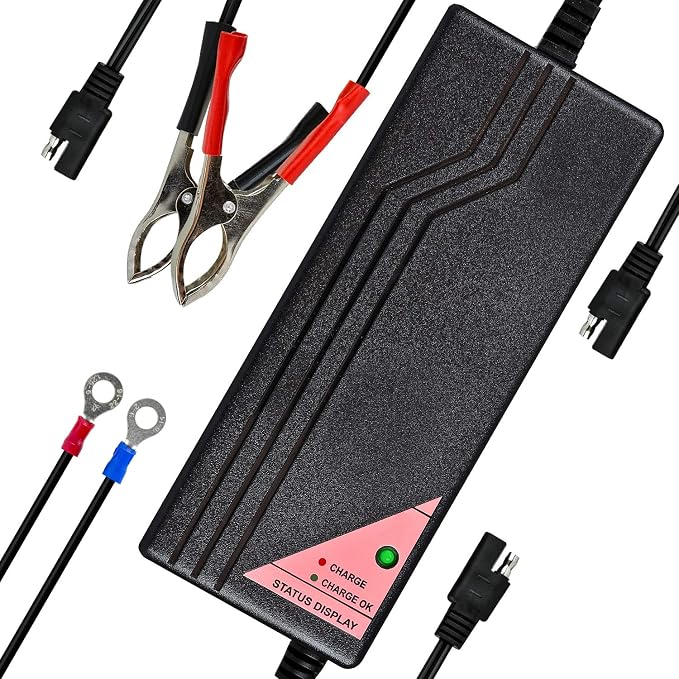 ExpertPower 12.8V 5A Smart Charger by ExpertPower