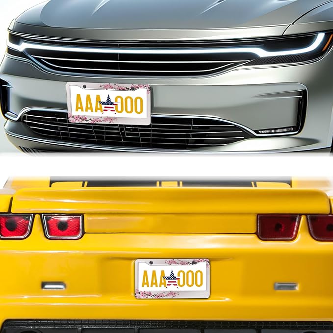 License Plate Frames for Men Powder License Plate Frame for Women Beautiful - Image 8
