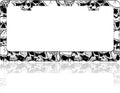 Skull License Plate Frame Black White Skeleton Stainless Steel License Plate by TINALUIN