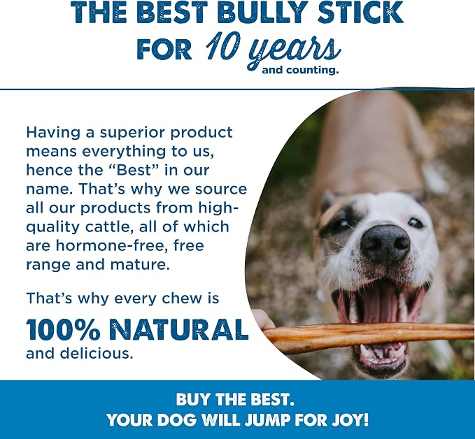 Best Bully Sticks 12 Inch Bully Sticks - Image 7