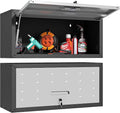 Garage Wall Cabinet with Flip-Up Door, Lockable Metal Storage Cabinet Wall by BIZOEIRON