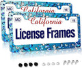 Blue Butterfly License Plate Frame Butterflies License Plate Holder, Butterfly by Unknown
