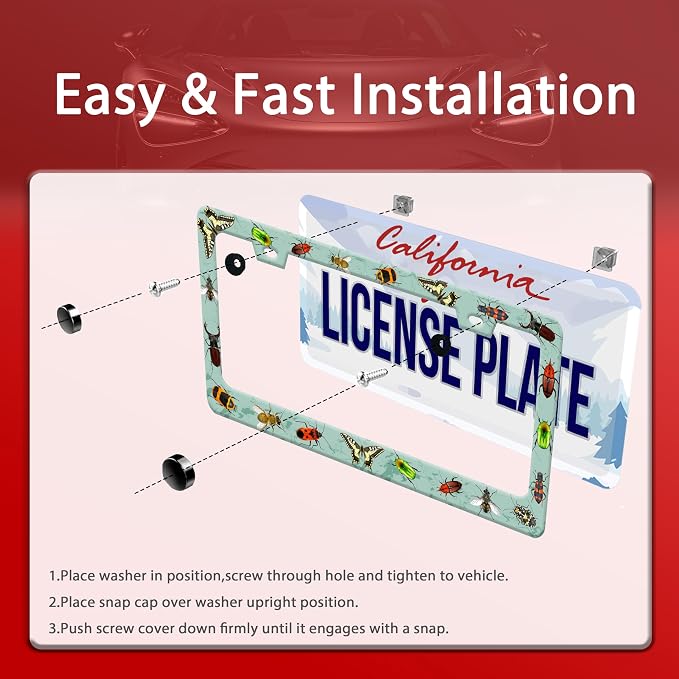 Personalized License Plate Frame Butterfly Moth Beetle Stainless Steel - Image 4