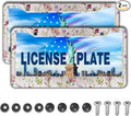 License Plate Cover Multicolor License Plate Frames Folk Flower Hippie Boho by Unknown