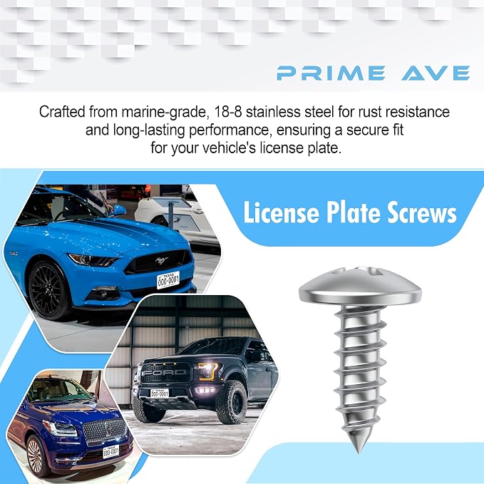 Stainless Steel License Plate Screws - Image 4